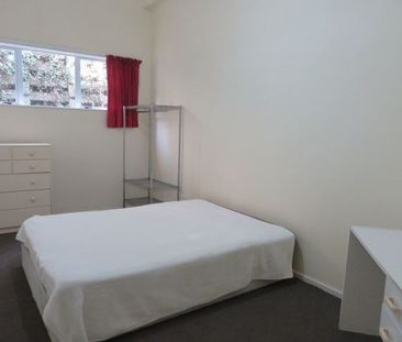 Cheaper living in a Shared Boarding house - Hataitai - Wellington C... - Photo 6