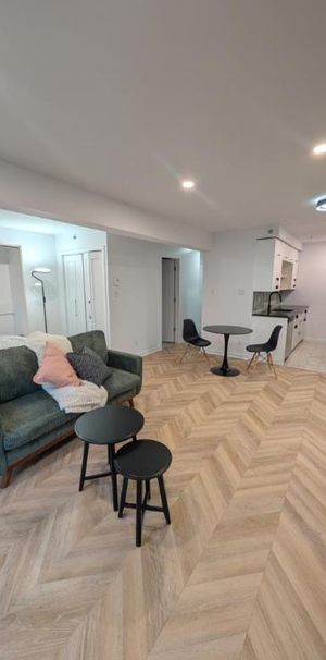 2 1/2 - Montréal (Le Plateau Mont-Royal) - 1 635 $/mois - Photo 1