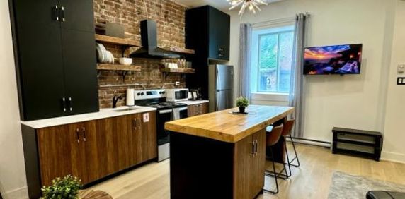 Plateau Mont-Royal 5 1 /2 St-Dominique/Sherbooke (électro inclus) - Photo 2