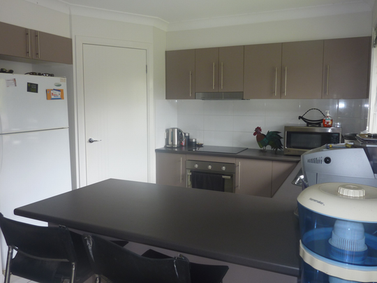 19 Riley Peter Place, Cleveland QLD 4163 - House For Rent | Domain - Photo 1