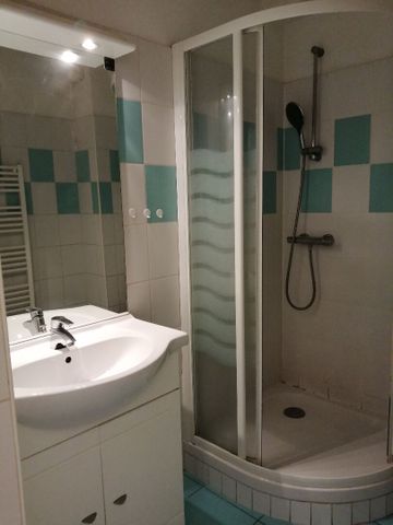 Location Appartement 1 pièce 25m² - Photo 5