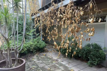 Lower Level 2 Bedrooms in Parkside! - Photo 3