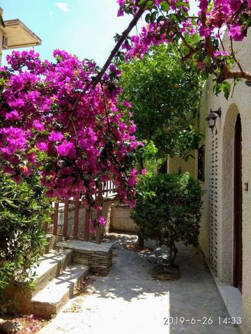 Studio/Γκαρσονιέρα για ενοικίαση Μαύρο Λιθάρι (Ανάβυσσος) - Φωτογραφία 5