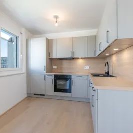 3 ZIMMER-ERSTBEZUG nahe ALTE DONAU - Fernblick im 7. Stock - Foto 2