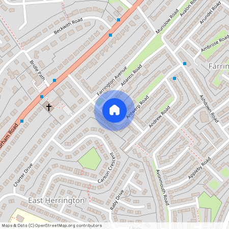 Antwerp Road, Farringdon, Sunderland