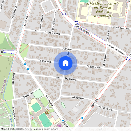 ul. Modrzewiowa, Dębiec, Wilda, Poznań, wielkopolskie