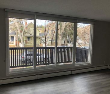 Renovated Suite - 1 Bedroom - Photo 1