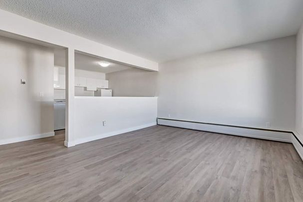 Renovated Suite - 1 Bedroom - Photo 1