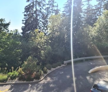 Joli 2 pces rénové, avec 1 box garage à louer à la saison (4 mois) - Foto 6