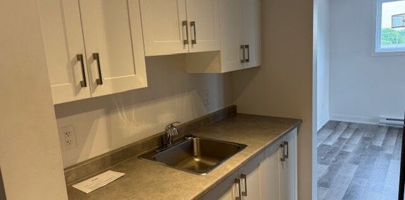 27 Rue Des Flandres (Gatineau) Super Appartement 4 1/2 à Louer - Photo 2