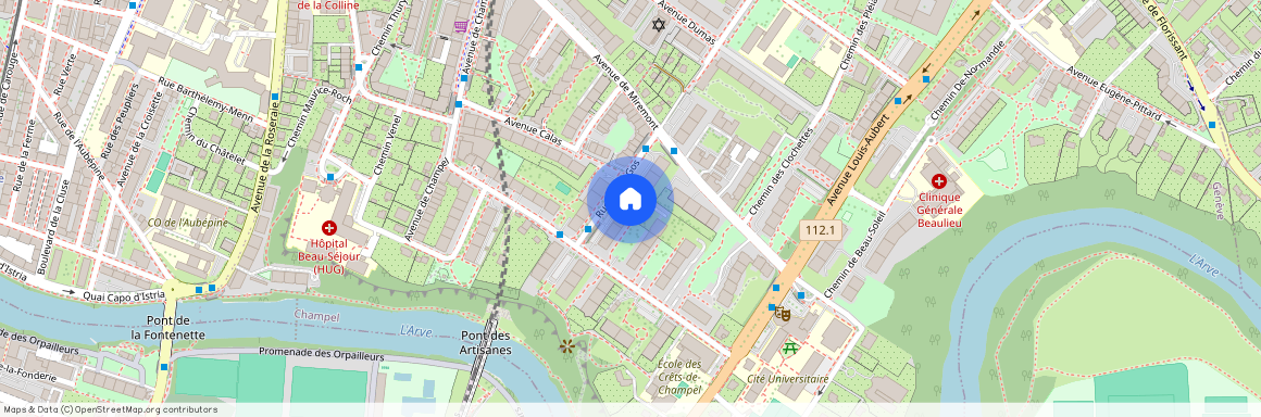 Rue Albert-Gos 5, 1206 Genève