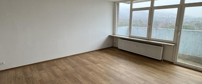 Große 4-Zimmer-Wohnung in Eberstadt-Süd - jetzt frei ! - Photo 1