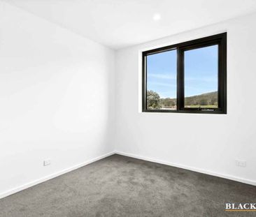 Brand New Two Bedroom Apartment - Photo 2