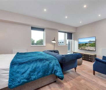 Studio to rent - Photo 5
