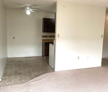 1 Bedroom Apartment in Lawson Heights - Photo 4