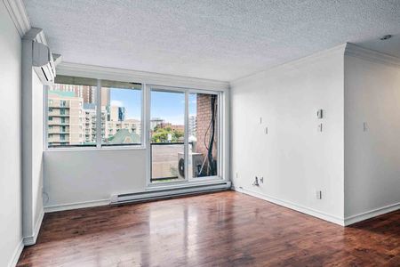 For Lease - 154 NELSON Street Unit# 504, Lower Town - Sandy Hill, Ontario - Photo 3