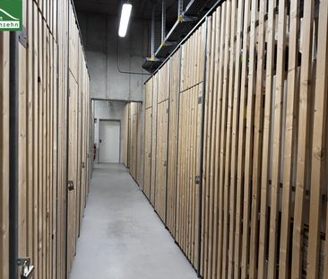 Wohnen im Grünen – urban & ruhig zugleich - Photo 1