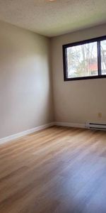 1 Bed 1 Bath Available! - Photo 3