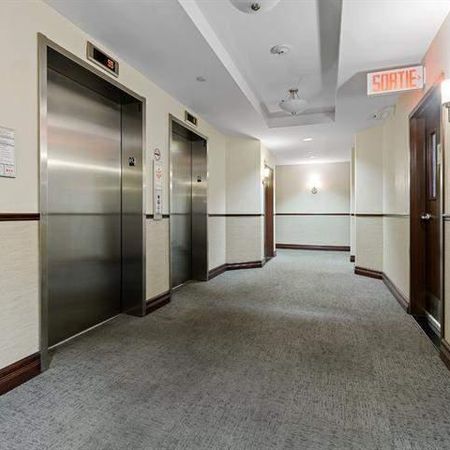 1 CH - 1 SDB - Gatineau - $850 /mo - Photo 4