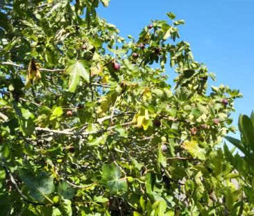 Room 10 #199 - Photo 5