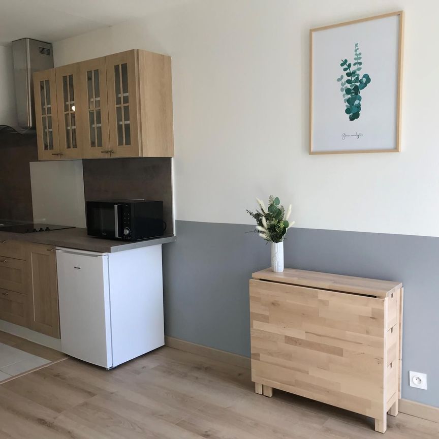 Location Appartement 1 pièce 19m² GIF SUR YVETTE 91190 - Photo 1