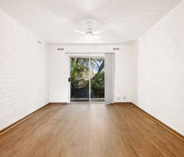 1/4 Loch Street, Stepney - Photo 3