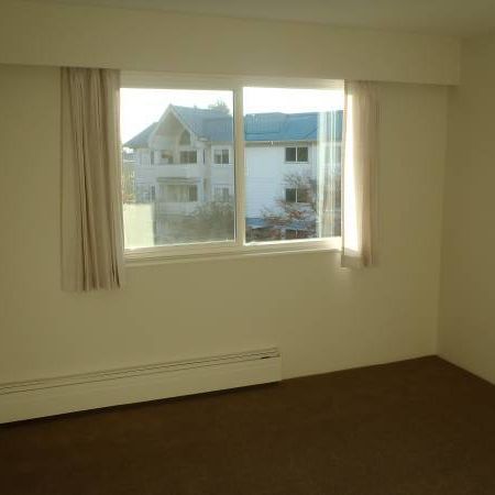 1 Bedroom Suite (Apartment Complex) - Photo 3