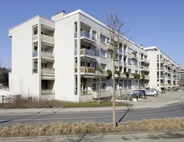 2.5 Zimmer, 59 m², 3. Stock - Foto 1