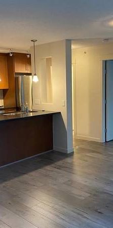 Coal Harbour Pet Friendly Renovated Spacious & Bright 2bd+2bth+den - Photo 1