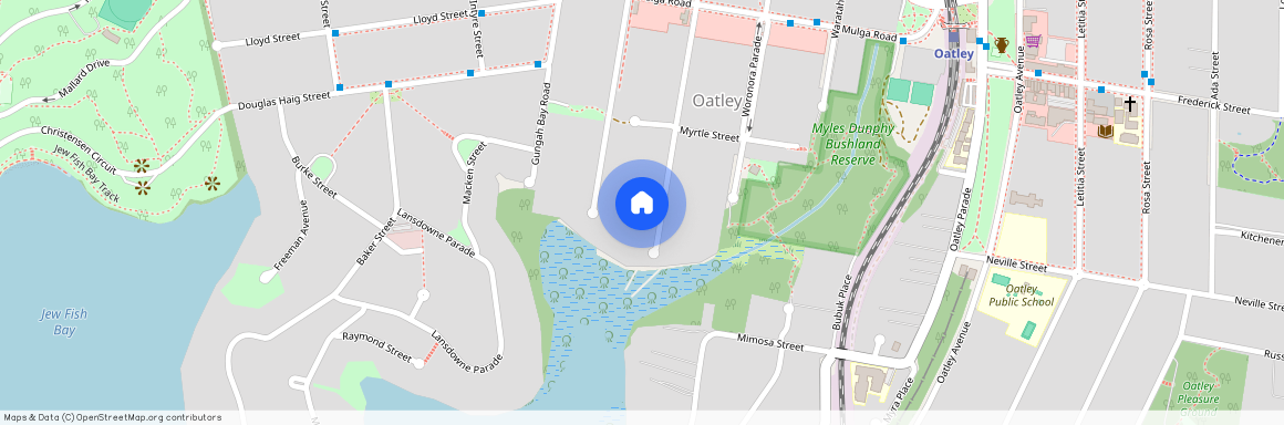 126 Mi Mi Street, NSW 2223, Oatley