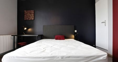 URSS Roommate 4 Bedrooms at Toulouse - Photo 2