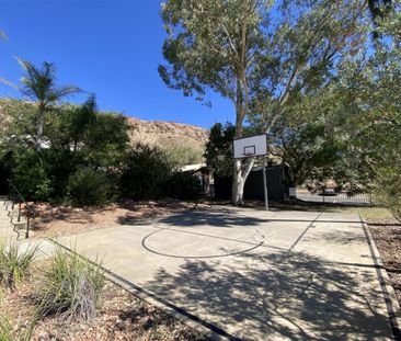 Furnished Studio Apartment - Photo 1