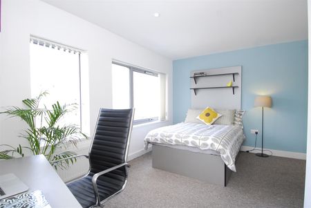 Ocean House, 6 beds, Plymouth - Photo 3
