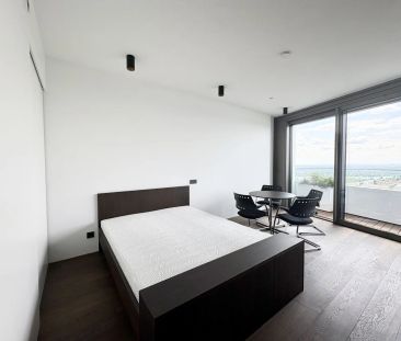 DANUBEFLATS: Elegant möbliertes Studio mit Cityblick: Doorman, Gym,... - Foto 4