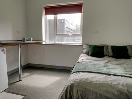 Studio to rent - Photo 4