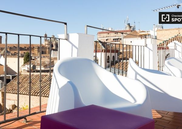 granada, Andalusia 18009