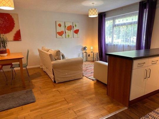 3 bedroom house share to rent - Photo 1