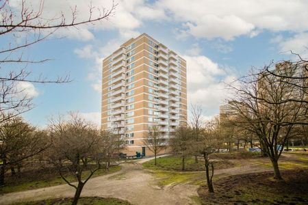 Appartement te huur: Staalmeesterslaan 219 1057 NV Amsterdam - Photo 3