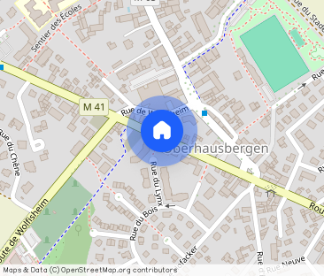 Location Appartement 2 pièces 49m² OBERHAUSBERGEN 67205 - Photo 1