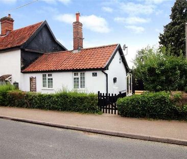 Norwich Road, Stoke Holy Cross, Norwich, Norfolk, NR14 - Photo 3