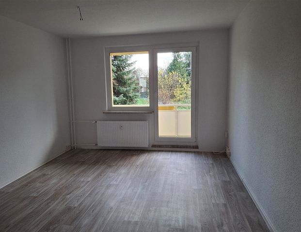 Alles wird neu - tolle 3-Raumwohnung in grüner Lage - Foto 1