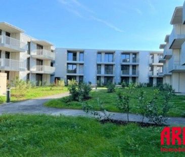 2 ZIMMERWOHNUNG MIT BALKON IN WELS - TOP 43 - Photo 4