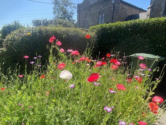 2 bedroom cottage to rent - Photo 1