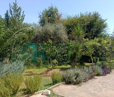 Mairena Del Alcor - Foto 6