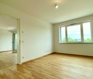 2 Zimmer-Neubau-Wohnung mit Marken-Küche, TG-Stellplatz - Foto 1