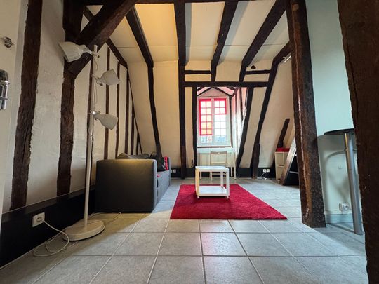 "LE BOISÉ" - Location Appartement tours : 22.248 m2 - Photo 1