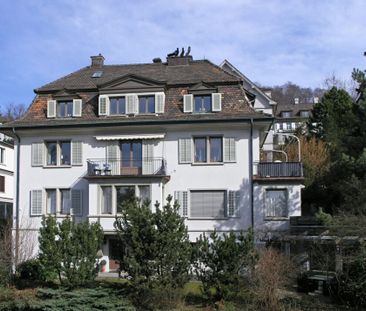 Einzigartige Wohnung am Zürichberg - Photo 6