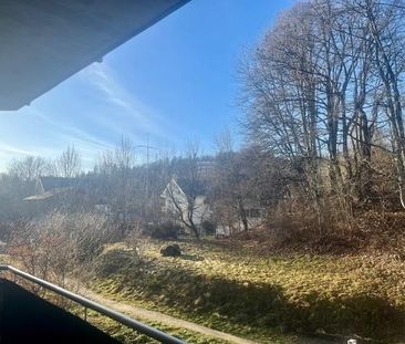 Charmant 2.5 pièces au 1er étage avec ascenseur à Saint Cergue - Foto 2