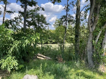 Gartenidyll beim Marchfelder Kanal - Foto 5