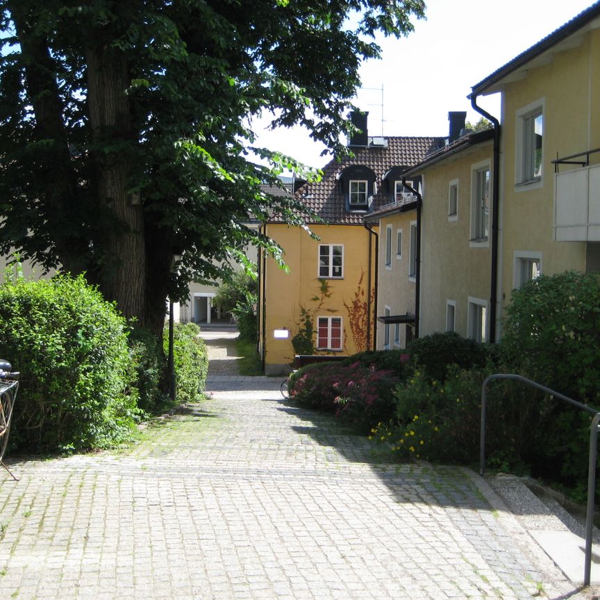 Pilens Backe 4 - Photo 2